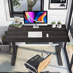 Dual Motor Electric Standing Desk Adjustable Height Stand Up Table 47.2inch Long Frame Home/Office Writing Workstation Stable Gaming Desk with Memory Controller, Black Wood Table Top and Frame