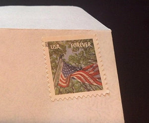 500 Forever Stamped Envelopes - #10 Security Self Seal Envelopes (4-1/8 x 9-1/2 inch)