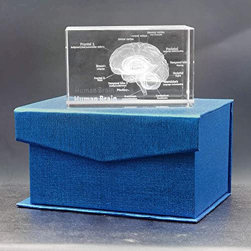 GRFIT Magic Gel Cushion with Honeycomb Structure and Washable Cover
