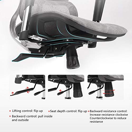 LYLY Ergonomic Reclining Office Chair with Double Back Waist Support (Nylon feet)