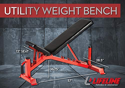 Lifeline Utility Weight Bench – Adjustable – 1,000lb Rated for Weightlifting and Strength Training