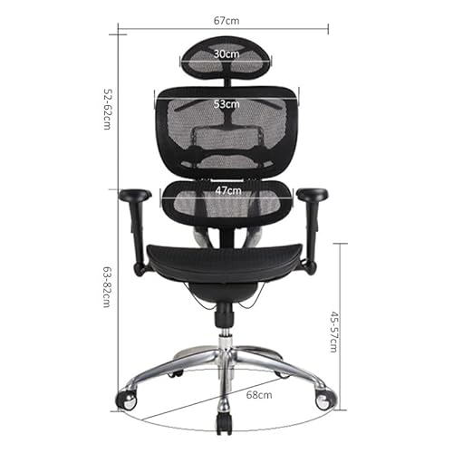 OOCCO Ergonomic Waist Computer Chair