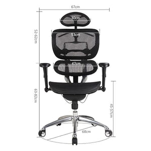 BALAMI Ergonomic Computer Chair with Lumbar Support
