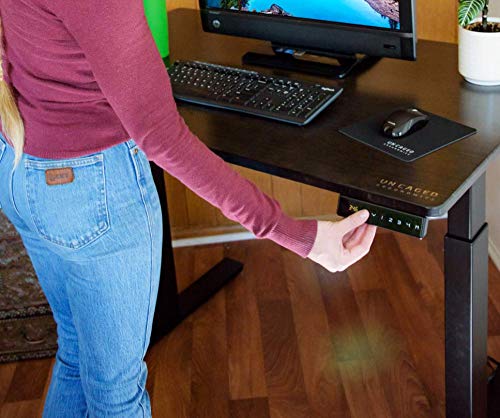 Rise UP Dual Motor Electric Standing Desk 60x30 Black Desktop Premium Ergonomic Adjustable Height sit Stand up Home Office Computer Desk Table Motorized Powered Modern Furniture Small Standup Table
