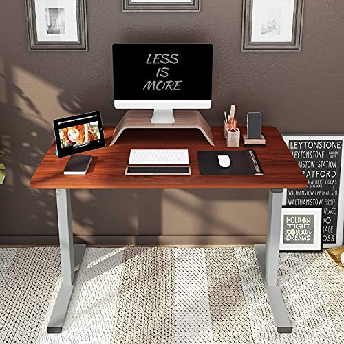 Flexispot Standing Desk 48 x 24 Inches Height Adjustable Desk Electric Sit Stand Desk Home Office Desks Vici (Gray Frame + Mahogany Top)
