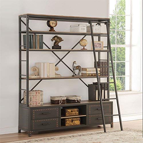 ACME Actaki Sandy Gray Bookshelf & Ladder