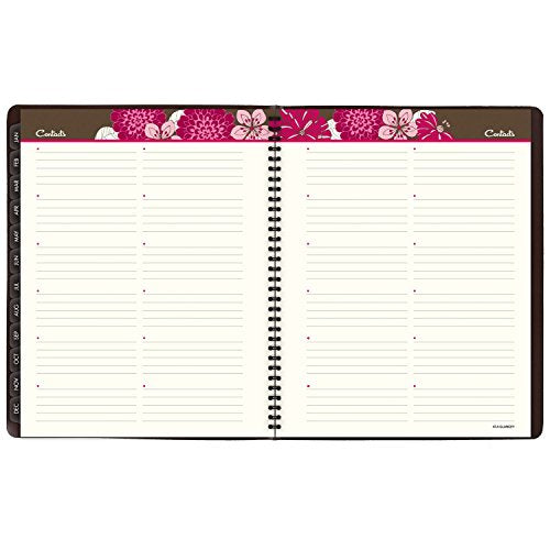 AT-A-GLANCE Weekly / Monthly Appointment Book / Planner 2017, Sorbet, 8-1/4 x 10-7/8" (794-905)