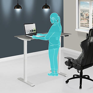 Techni Mobili RTA-3839SU-GRY Automatic Sit to Stand Desk, 59" W x 27.5" D x 48" H, Gray