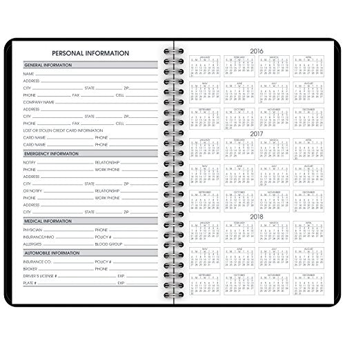 AT-A-GLANCE Appointment Book / Planner 2017, Daily, 4-7/8 x 8", Black (70-800-05)