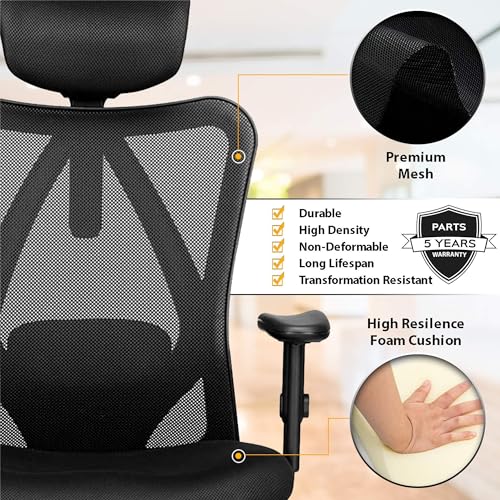 Duramont Ergonomic Office Chair with Lumbar Support, Rollerblade Wheels, and Mesh Design