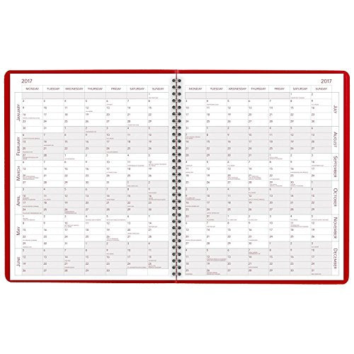 AT-A-GLANCE Monthly Planner / Appointment Book 2017, 15 Months, 9 x 11", Fashion Color, Red (7025013)