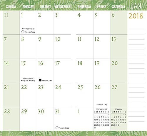 Jungle Two-Year-Plus 2017-2019 Pocket Planner