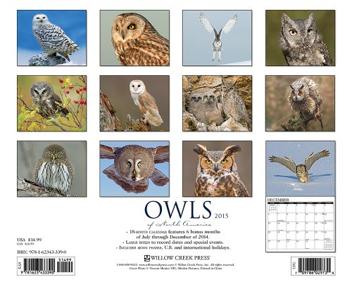 Owls of North America 18-Month 2015 Calendar