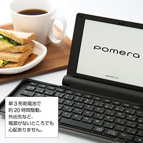 KINGJIM digital memo Pomela Silva - DM30 Sil (Japan Domestic genuine products)