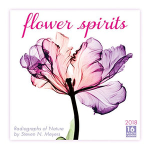 Flower Spirits: Radiographs Of Nature By Steven N. Meyers 2018 Wall Calendar (CA0134)