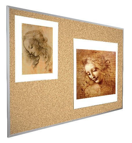 Best-Rite VT Logic Cork Bulletin Board, Aluminum Trim, 4 x 8 Feet (E301AH)