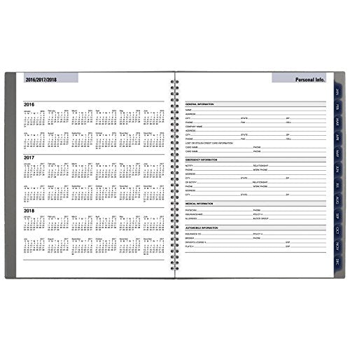 DayMinder Monthly Planner 2017, 8-1/2 x 11", Traditional, Color Selected For You May Vary (GC470-10)