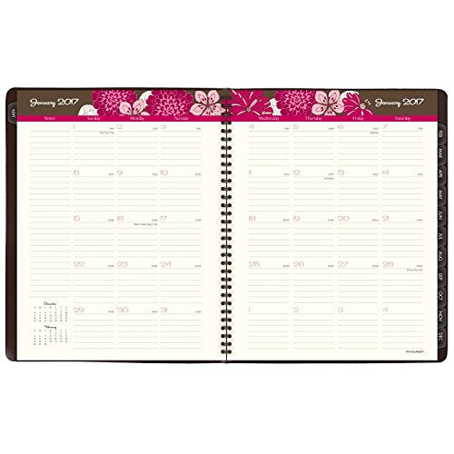 AT-A-GLANCE Weekly / Monthly Appointment Book / Planner 2017, Sorbet, 8-1/4 x 10-7/8" (794-905)