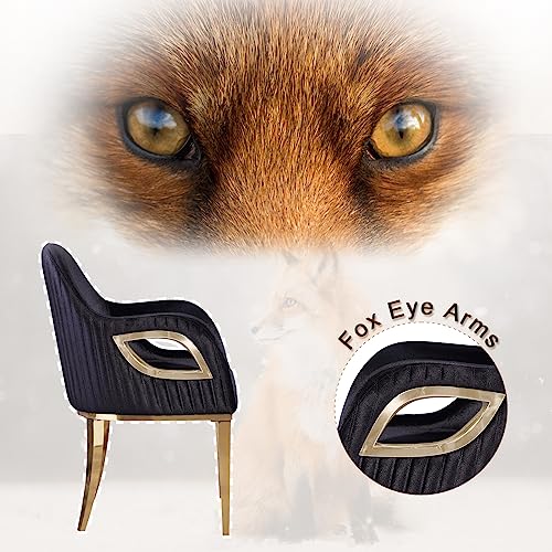 Asday Black Velvet Dining Chairs with Arms and Gold Stainless Steel Legs - Set of 10