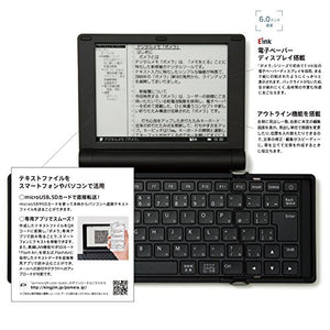 KINGJIM digital memo Pomela Silva - DM30 Sil (Japan Domestic genuine products)