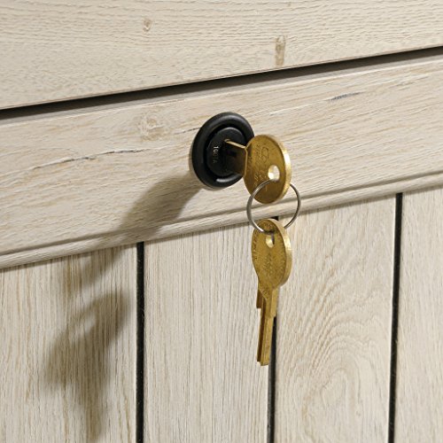 Sauder Costa Lateral File, Chalked Chestnut finish