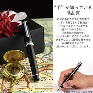 Sailor Pen fountain pen professional gear silver fine print 11-2037-220 Black