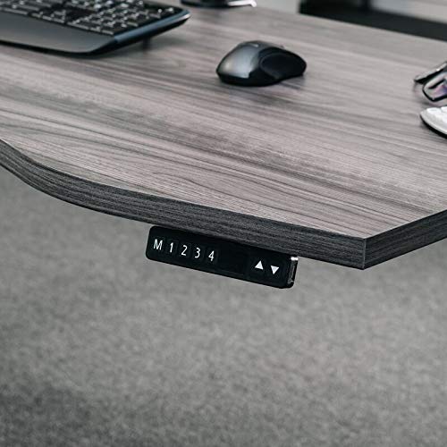 MotionWise Manager Series Dual Motorized Rising Sit/Stand Desk for Home Or Office, Dove Gray