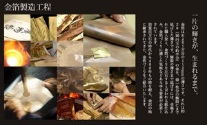 Platinum Maki-e fountain pen Kanazawa foil goldfish fine print (F) PTL-15000H # 24-2 (japan import)