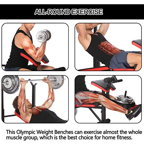 Hurbo Multifunctional Workout Adjustable Olympic Weight Bench with Squat Rack, Leg Extension, Preacher Curl, and Weight Storage, 330-Pound Capacity