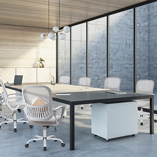 Sweetcrispy Ergonomic Office Computer Desk Chair with Lumbar Support, Grey