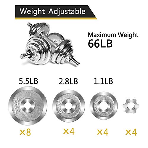 NK BEAUTY Adjustable Weights Dumbbells Set with Anti-Slip Handle, 66LBS Free Weights Dumbbells for Men and Women Gym Equipment Dumbbell