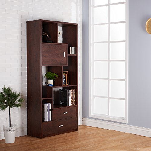 ioHOMES Pollock Modern Display Case with Drawers, Vintage Walnut
