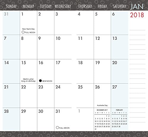 Fish 2018 2-Year Plus Pocket Planner