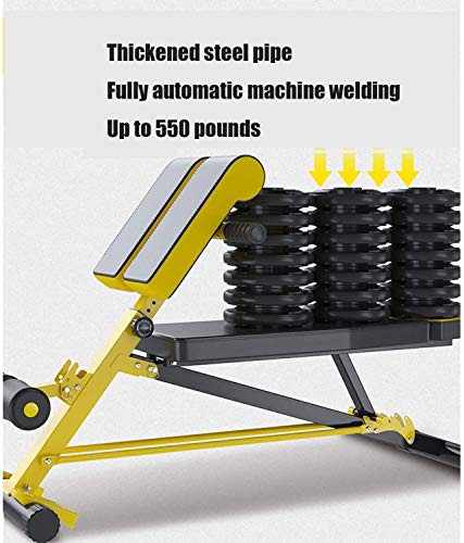 Byakns Home or Commercial Leg Muscle Fitness equipmentMulti-Functional Dumbbell Bench, Roman Chair with 5 Adjustments, Abdominal Hyper Back Extension Bench, Ab Sit up Bench Home Strength Training