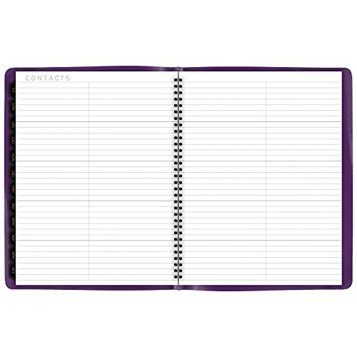 AT-A-GLANCE Weekly / Monthly Appointment Book / Planner 2017, 8-1/4 x 10-7/8", Contempo Fashion, Color Selected For You May Vary (70-940X-00)