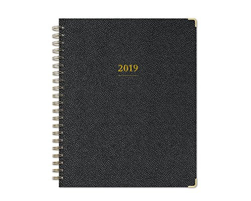 Blue Sky 2019 Weekly & Monthly Planner, Hardcover, Twin-Wire Binding, 8.5" x 11", Carerra