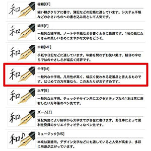 Sailor Fountain Pen Profit 21 M Medium 11-2021-420 Black 11-2021-420 (Japan Import)