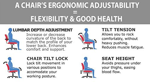 Big and Tall Office Chairs -"Morpheus" 500 lb. Capacity Office Chair