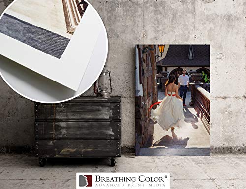 Crystalline Satin Bright White, Poly-Cotton Inkjet Canvas 44in x 40ft Roll Makes Color and Contrast Art Pop With Its Exquisite Satin Finish
