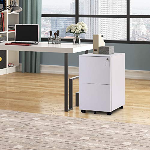 ModernLuxe 2 Drawer Locking File Cabinet with Wheels, Steel, White