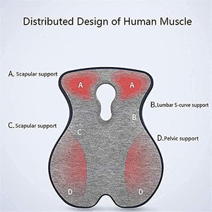 Sicunang Memory Foam Cushion for Office Chair - Back Pain & Sciatica Relief - Orthopedic Coccyx Pillow