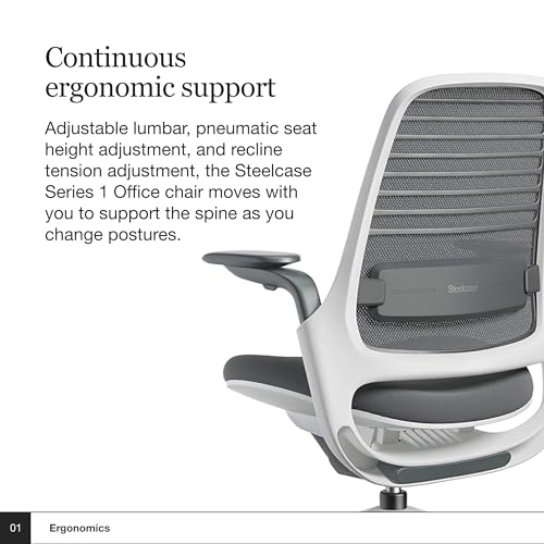 Steelcase Series 1 Office Chair - Ergonomic Work Chair with Weight-Activated Controls, Back Supports & Arm Support - Graphite