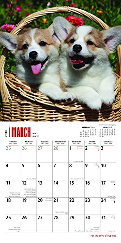 For the Love of Puppies 2018 Calendar