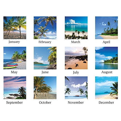 AT-A-GLANCE Desk Pad Calendar 2017, Monthly, 21-3/4 x 17", Tropical Escape (DMDTE2-32)