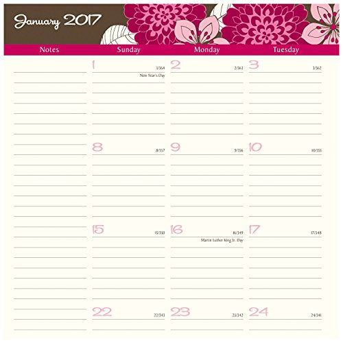 AT-A-GLANCE Weekly / Monthly Appointment Book / Planner 2017, Sorbet, 8-1/4 x 10-7/8" (794-905)