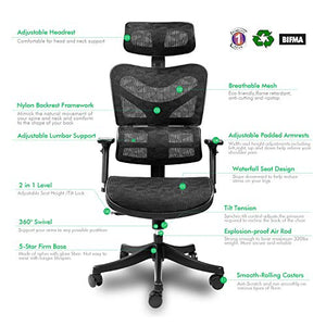 Ergonomic Mesh Office Chair High Back with Adjustable Headrest/Tilt Back/Tension/Lumbar Support/Armrest/Seat Breathable High End Argomax Computer Desk Chair 360 Swivel Self Adaptive Base (Upgrade)