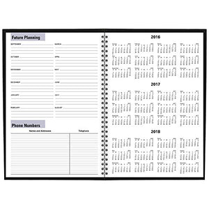 DayMinder Academic Year Monthly Planner, July 2016 - August 2017, 7-7/8"x11-7/8", Black (AY200)