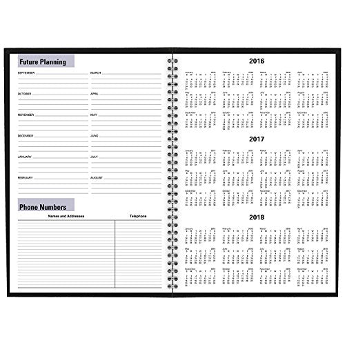 DayMinder Academic Year Monthly Planner, July 2016 - August 2017, 7-7/8"x11-7/8", Black (AY200)