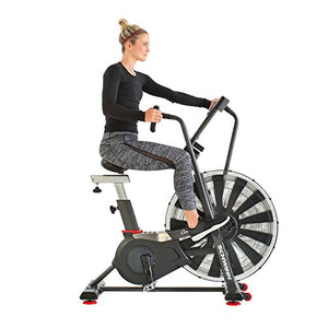 Schwinn AD7 Airdyne Bike