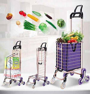 NeAFP Large Folding Shopping Cart Portable Grocery Utility Stair Climbing Cart